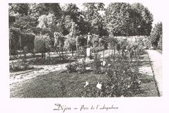 Dijon-jardin-de-l-arquebuse
