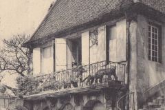 dijon-jardin-arquebuse-musee-histoire-naturelle-1905-max