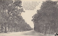 allee du parc 2.jpg